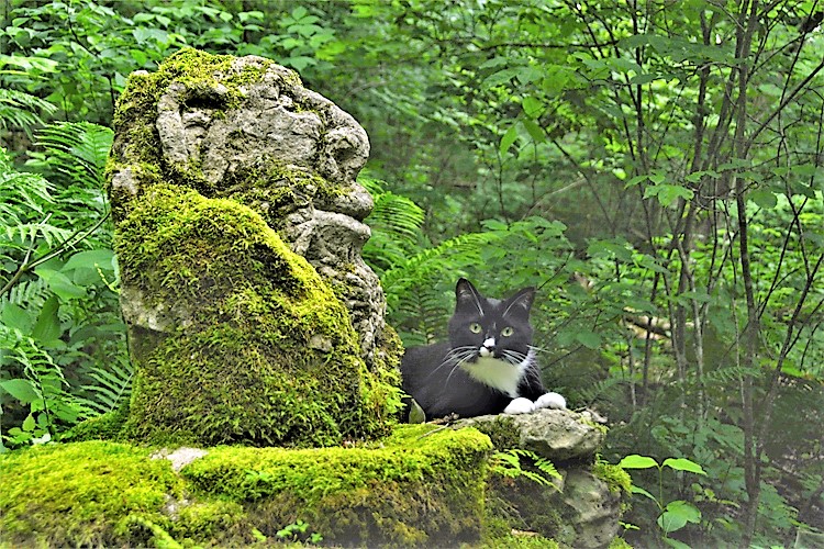 stonework